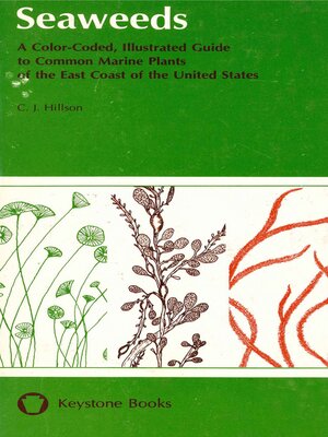 cover image of Seaweeds